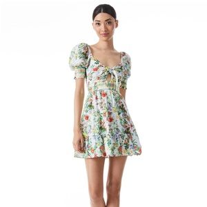 Alice & Olivia Dress
